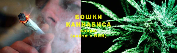 PSILOCYBIN Вязьма